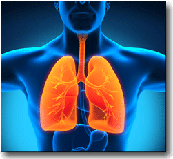 Maine Silicosis Worker's Compensation